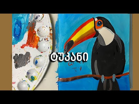 როგორ დავხატოთ ტუკანი/How to Draw a Toucan Bird